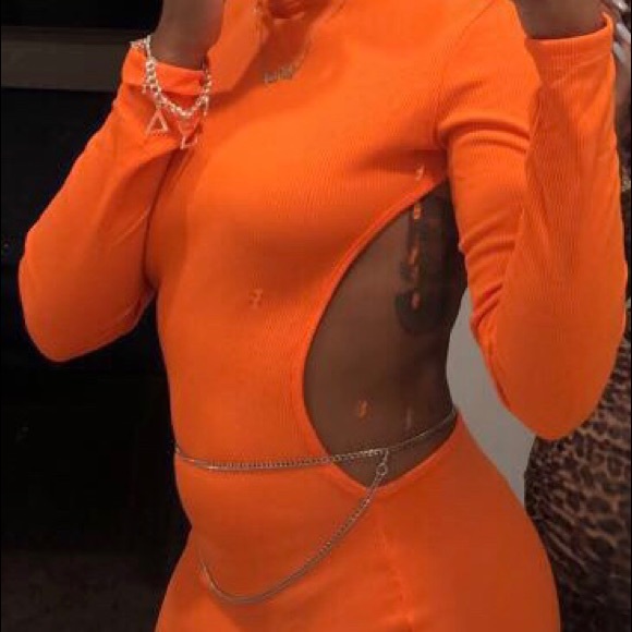 Organ Turtle Dress🧡🐢 - Picture 2 of 3